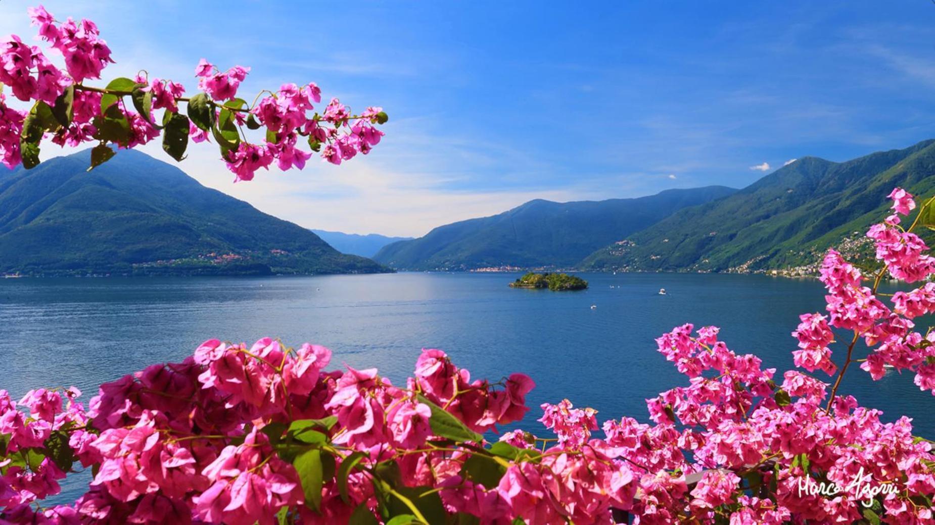 Charme Hotel Al Torchio Ascona Ngoại thất bức ảnh